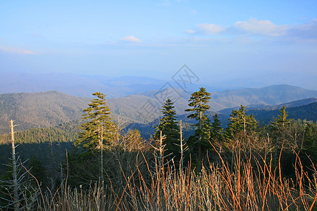 烟雾山区国家公园旅游地质学蓝色季节环境公园森林大路疾病场景图片