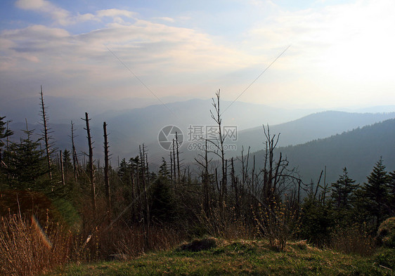 烟雾山区国家公园森林地球旅游首脑季节大路松树旅行公园树叶图片