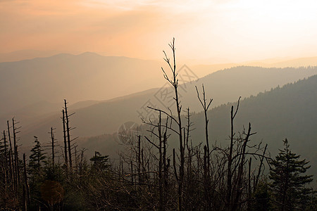 烟雾山区国家公园树叶首脑季节日落顶峰生态远足疾病旅行大路图片