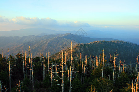 烟雾山区国家公园地质学公园生态环境季节背包大路场景松树森林图片