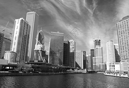 芝加哥天际摩天大楼旅游码头阳光吸引力旅行天空市中心地标住宅图片