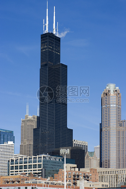 芝加哥的摩天大楼景观都市风景风光结构圆圈建筑城市生活办公楼建筑学图片