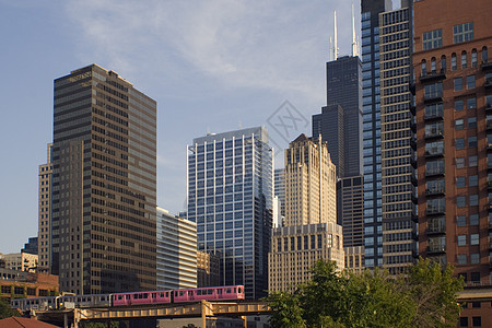 芝加哥市中心的粉红色火车图片