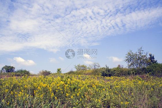 Horicon沼泽地景观野生动物沼泽icon植物保护区湿地图片