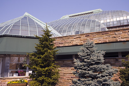 林肯公园音乐学院未来派旅行温室植物学圆顶蓝色结构热带天空园艺背景