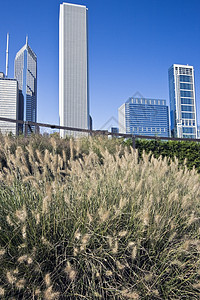 来自千年公园的芝加哥摩天大楼名楼商务景观旅游办公楼城市生活假期设备建筑路灯图片