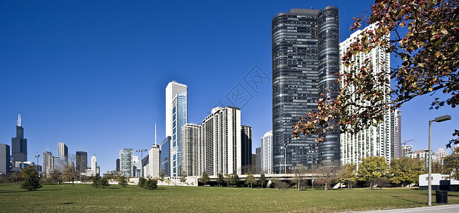 芝加哥早间全景都市办公楼建筑学市中心天际摩天大楼城市生活城市风光旅行图片
