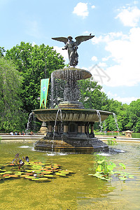 中央公园吸引力雕像日光浴民众池塘雕塑天空公园反射乐队图片