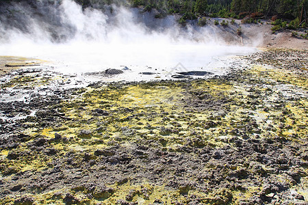 黄石公园泥火山地区地标美丽阳光火山地质学旅游公园喷泉场景野生动物图片