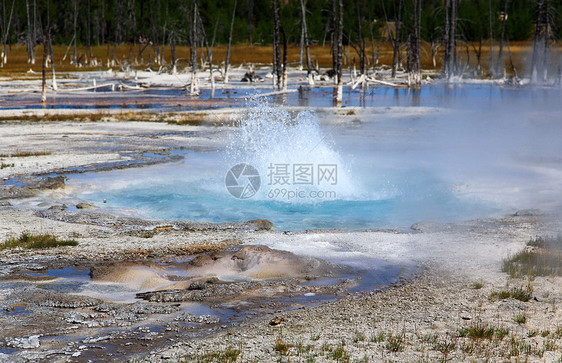 黄石公园的中途盖泽河流域旅游地标地形地质学喷泉野生动物蓝色场景美丽蒸汽图片