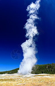 黄石公园古老的忠心修道院野生动物蓝色火山国家阳光盆地旅行喷泉蒸汽旅游图片