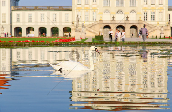 尼芬堡宫天鹅蓝色雕塑游客绿色天空城堡历史性鸭子皇家池塘图片