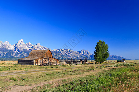 Grand Teton的穆尔顿仓库晴天羚羊天空旅游反射山脉公寓谷仓历史蓝色图片