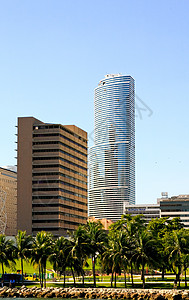 迈阿密市中心高楼大楼海湾建筑摩天大楼酒店公寓城市海岸天空办公室市中心图片