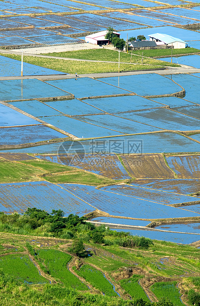 绿色和蓝绿美丽农场季节文化农田食物地面爬坡森林场地农业草地图片