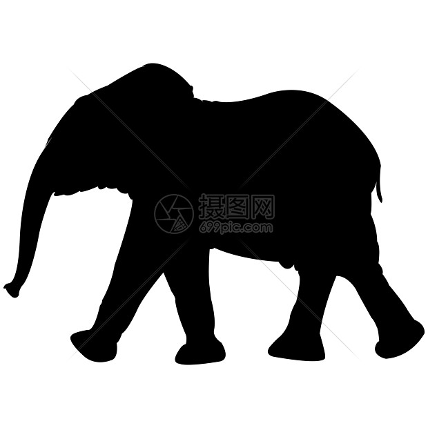 白色上隔离的婴儿大象双光影眼睛厚皮灰色野生动物男性树干荒野耳朵獠牙动物图片