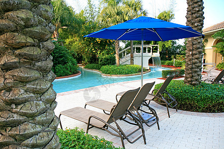 度假村的风景和游泳池棕榈酒店游泳退休椅子别墅财产晒黑乐趣热带图片