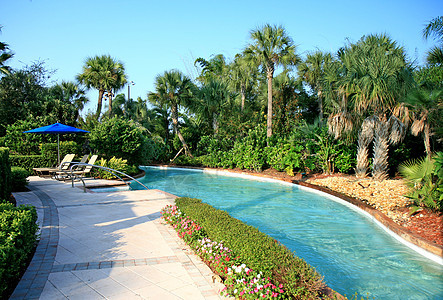 度假村的风景和游泳池棕榈阳光酒店晒黑椅子游泳闲暇旅游旅行天堂图片