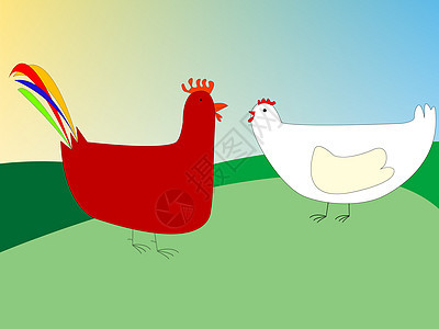 鸡和公鸡绘画生活插图母鸡数字羽毛艺术食物国家农场玩具图片