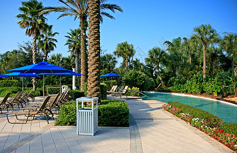 度假村的风景和游泳池天堂棕榈棕褐色晒黑假期别墅水池退休游泳椅子图片