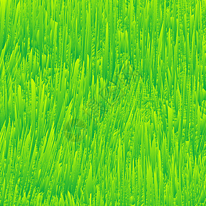 新鲜草质花园环境插图草皮植物群园林叶子场地绿化植被图片