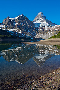 加拿大洛基山脉阿西尼博因山反射山脉首脑冰川顶峰公园图片