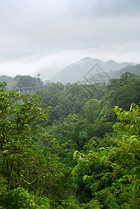 温雾山区地貌图片