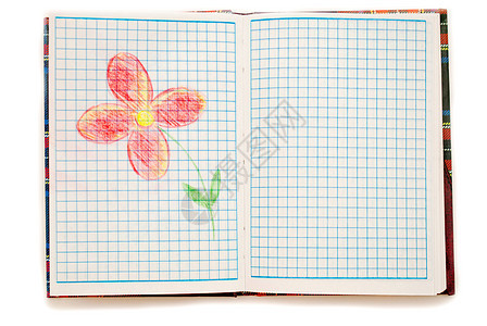 用白色背景的笔记本绘制花朵背景图片