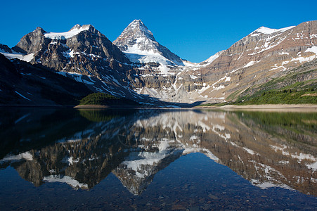 俯瞰山脉Assiniboine山 有反射的加拿大落基山脉冰川高山公园首脑背景