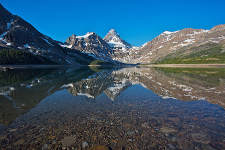 Assiniboine山 有反射的加拿大落基山脉公园高山冰川首脑图片