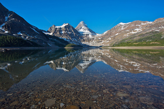 Assiniboine山 有反射的加拿大落基山脉公园高山冰川首脑图片