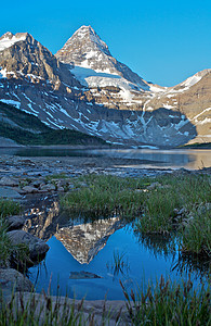 Assiniboine山 有反射的加拿大落基山脉冰川首脑高山公园图片