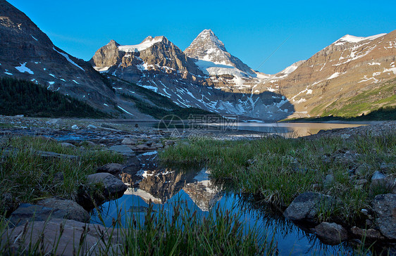 Assiniboine山 有反射的加拿大落基山脉冰川公园首脑高山图片