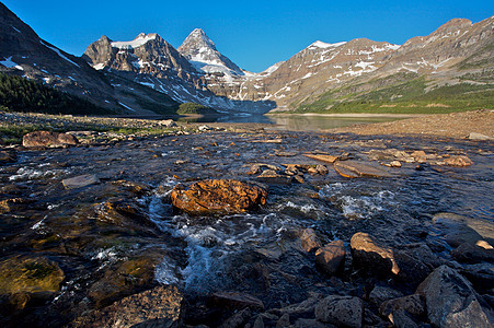 Assiniboine山 有反射的加拿大落基山脉高山首脑公园冰川图片