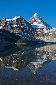 Assiniboine山 有反射的加拿大落基山脉首脑高山公园冰川图片