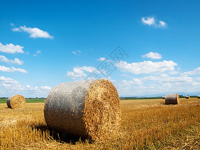 乡边地貌 干草成百上千稻草蓝色牧场草垛草地天空农村环境植物学文化图片