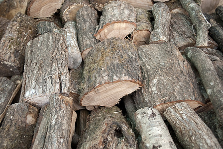 日志收成木头森林硬木木工人松树树干木材环境戒指图片
