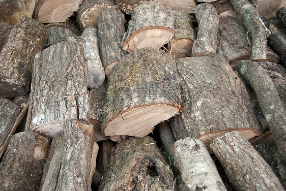 日志收成木头森林硬木木工人松树树干木材环境戒指图片