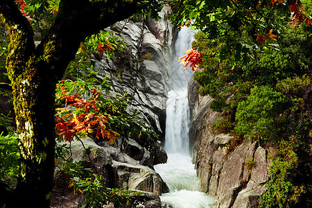 泉水场景环境风景流动公园岩石季节性国家石头瀑布图片