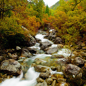 山区河旅行环境季节石头公园流动场景国家树木植物群图片