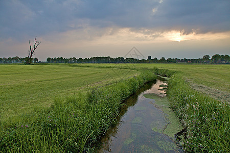 荷兰荷兰语景观蓝色水路农场牧场反射地平线农田绿色树木农业图片