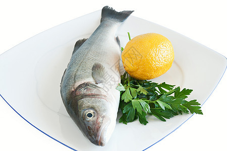 含柠檬和鹦鹉的海贝斯盘子餐厅香菜红色海鲜美食午餐食物白色盐水图片