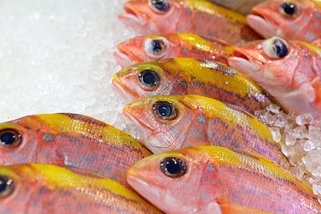 供市场销售的鱼营养店铺烹饪柠檬海鲜海洋食物香菜钓鱼图片
