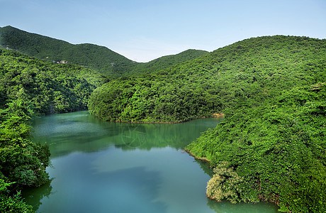 森林中的湖泊旅行木头晴天风景镜子蓝色旅游公园反射地平线图片