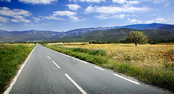 道路和树木森林驾驶草地晴天风景国家路线旅行农村全景图片