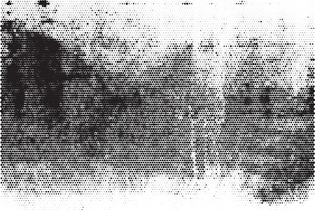 半色调白色插图元素设计圆圈纹理黑色复古图案艺术图片