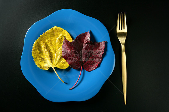多彩素食菜叶餐 低卡路里 多彩素食餐厅绿色白色叶子午餐饮食沙拉食物环境盘子图片