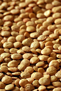 Lentils 棕色的大型作物纹理食品蔬菜营养厨房植物镜片扁豆纤维宏观烹饪图片