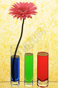 黄斑粉色花瓣植物雏菊蓝色宏观玻璃水平红色花瓶图片