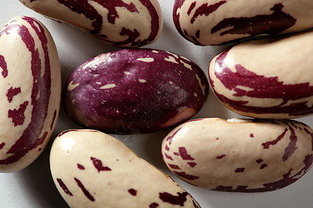 工作室白色背景的豆子宏团体紫色植物饮食蔬菜营养食物粮食种子烹饪图片